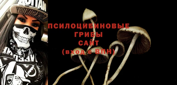 прущая мука Абаза