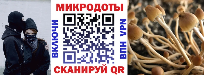 где купить наркотик  Ак-Довурак  Псилоцибиновые грибы прущие грибы 